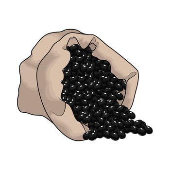 sack of black beans vector