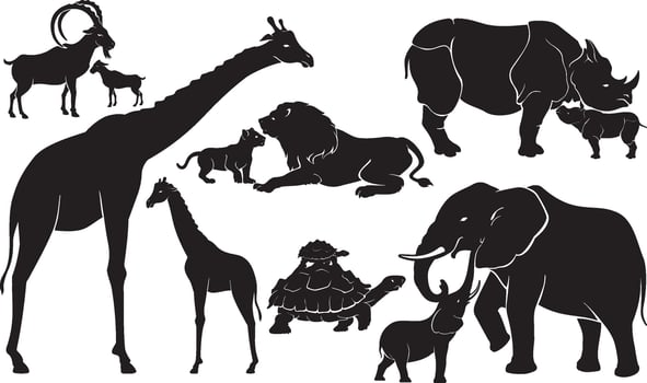 Wild Animals, Parent and Offspring Set vector