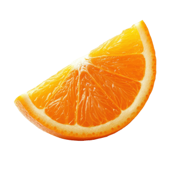 Fresh Orange Slice png