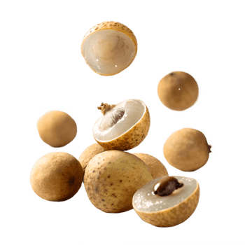 Falling Longan Fruit Halves Studio Shot Transparent Background png