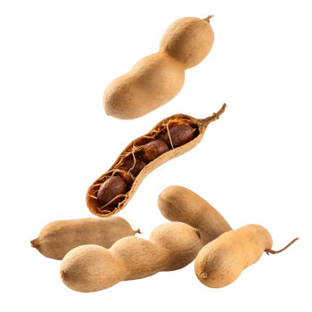 Falling Tamarind Pods in Studio Lighting Transparent Background png