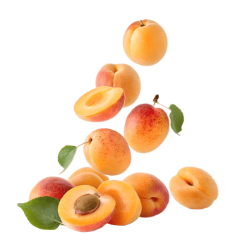 Fresh Apricots Falling in Air Transparent Background png