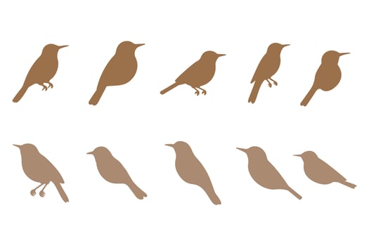 Nightingale Bird Silhouette Icon Set. Animal Illustration Design vector
