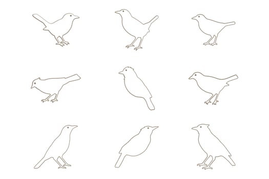 Myna Bird Outline Icon Set vector