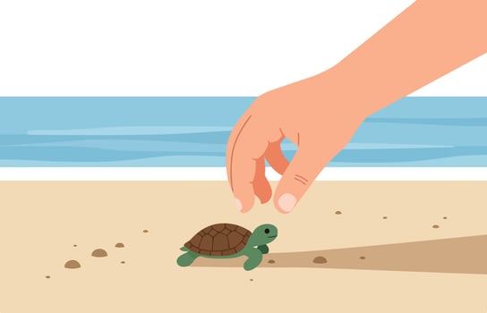 Hand releasing small turtle on sandy beach near ocean shore illustration vector