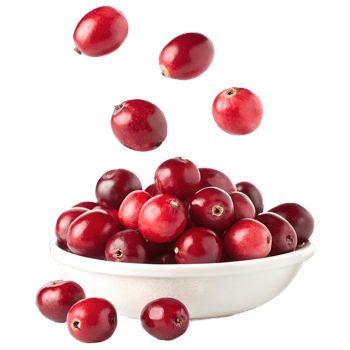 Cranberries Falling into Bowl Transparent Background png