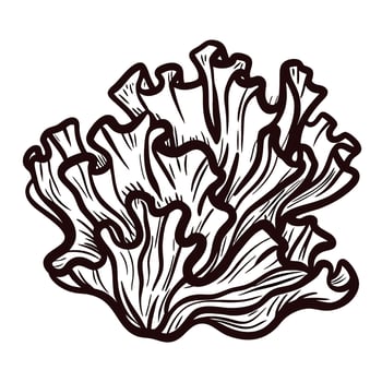Detailed line art of coral reef structure with intricate patterns and organic shapes in black and white vector