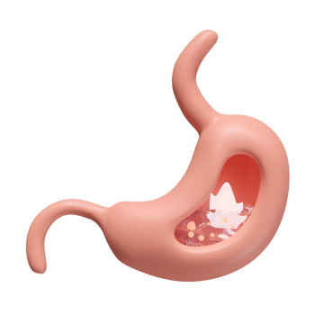 3d human stomach with stomach acid, gas isolated. gastric disease concept, 3d illustration render png
