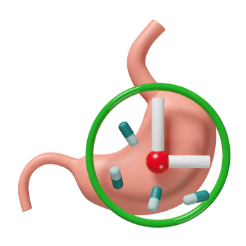 3d human stomach with clock, medicine isolated. The concept of taking medicine on time, 3d illustration render png