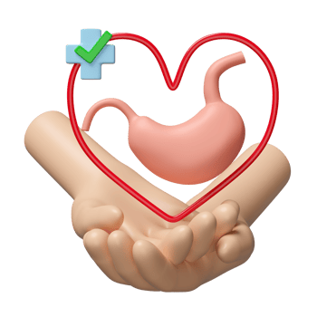 3d hands holding realistic human stomach with heart, cross, check mark isolated. check stomach health, gastric disease concept, 3d illustration render png