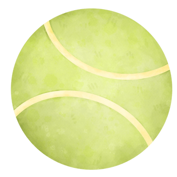 Tennis, sport ,circle png