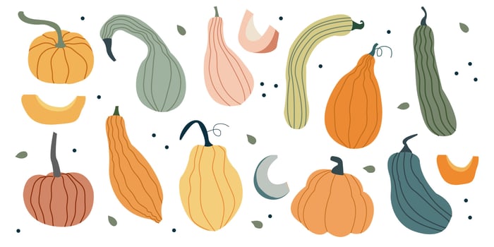 Hand drawn pumpkin. Autumn harvest squash illustration for fall decor vector