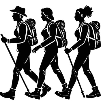 Three women hikers trekking in silhouette with backpacks and hiking poles vector