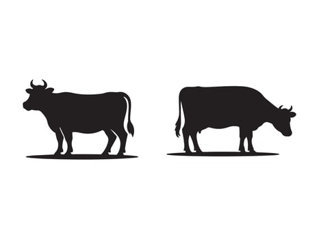 Simple black silhouette of two cows vector