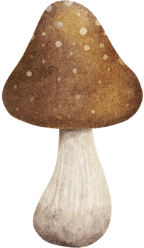Crunchy Hat Woodland Hug png