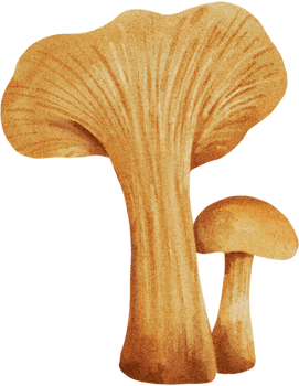 Pumpkin Spice Little Buddy png