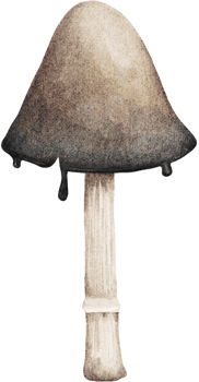 Silent Night Cozy Shroom png