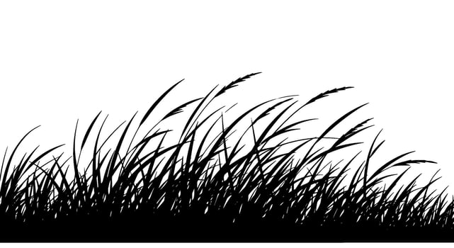 Black Silhouette of Windblown Grass vector