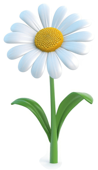Vibrant, cartoon-style depiction of a single daisy. png