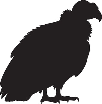 California Condor Solid Black Silhouette vector