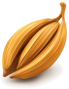 Three plump, golden brown grains of wild rice. png