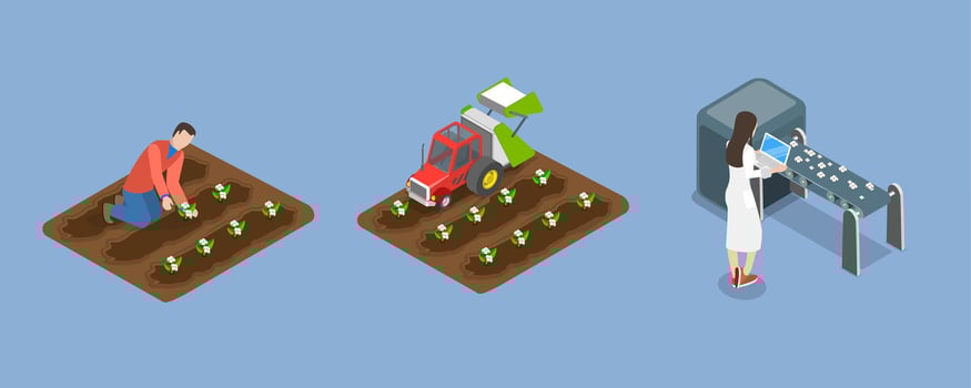 3D Isometric Flat Illustration of Cotton Farm, Agribusiness Textile Industry vector