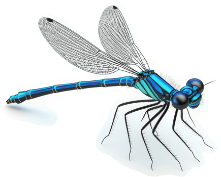 Vibrant blue dragonfly in profile view. png