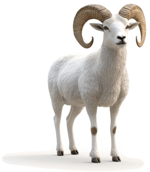 Majestic white bighorn sheep stands proud. png