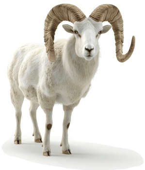 Majestic white ram with large horns. png