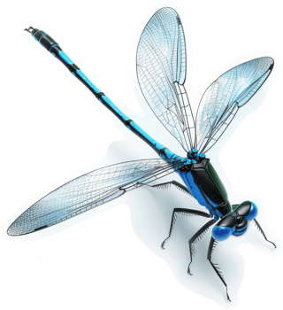A detailed illustration of a vibrant blue and black dragonfly. png