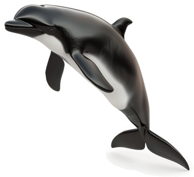 A leaping bottlenose dolphin against a plain background. png
