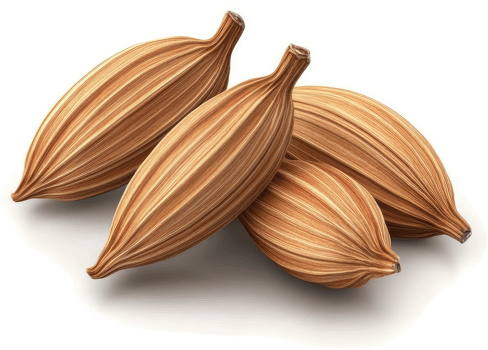 Three whole cardamom pods arranged closely together. png