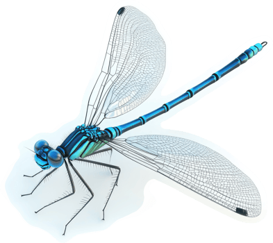 Vibrant turquoise dragonfly in profile view. png