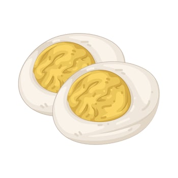 Boiled Egg Illustration vector