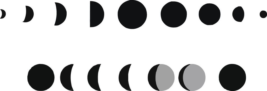 moon phases , black moon icon, vector