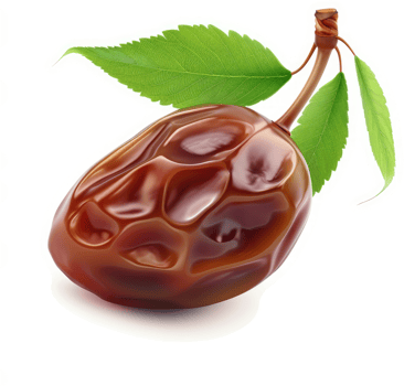 Sweet, plump date with vibrant green leaves. png