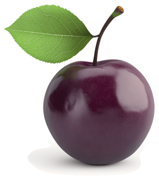 A glossy, dark purple plum with a leaf. png