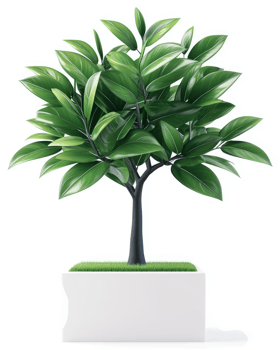 Lush green potted tree with vibrant foliage. png