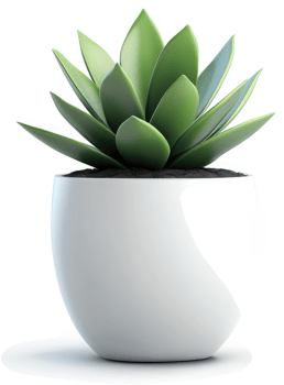 A vibrant succulent plant in a modern white pot. png