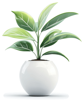 Vibrant potted plant with lush green foliage. png