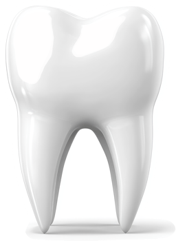 Healthy, gleaming tooth in a digital illustration. png