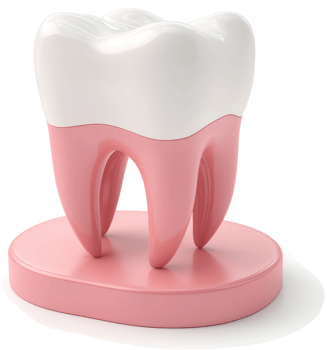 Healthy human tooth depiction on a pink base. png