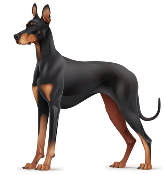 Powerful black and reddish-brown dog portrait. png