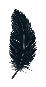 Detailed black feather illustration with subtle texture png