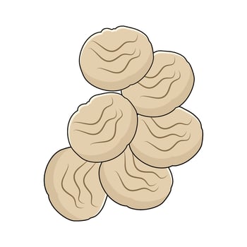 illustration of Chia Seeds vector