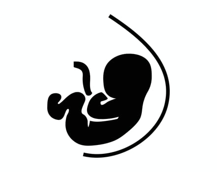 Black silhouette showcases a prenatal fetus in utero against a white background, symbolizing pregnancy and new life. vector