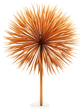 Ornate, golden sphere-shaped decorative plant. png