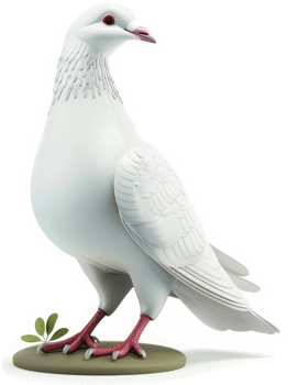 A detailed illustration of a pristine white pigeon. png