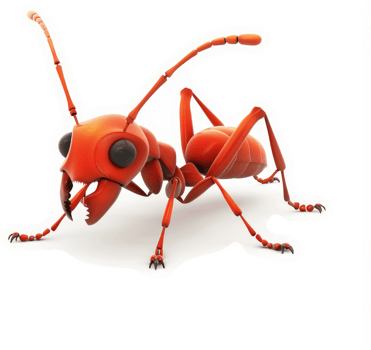 Red ant with detailed body parts, against a white background. png