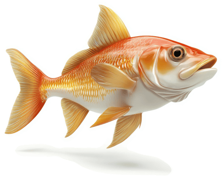 Vibrant orange and gold fish swimming in profile. png